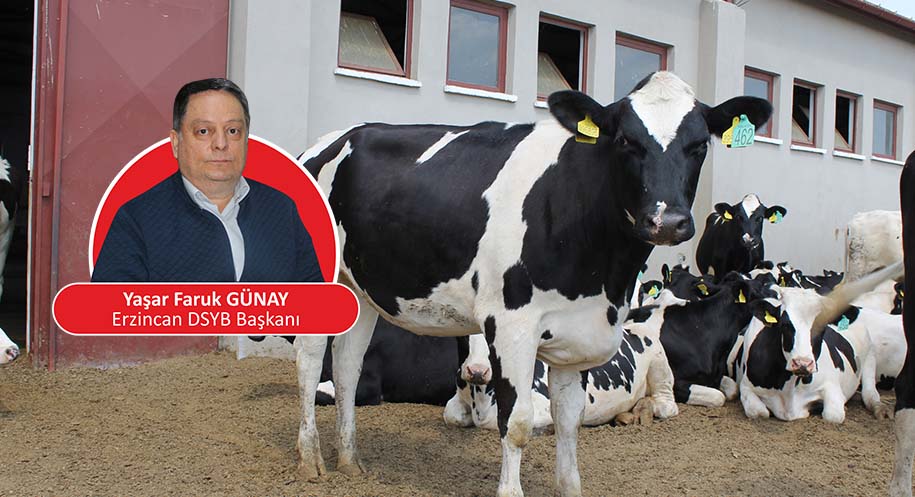 Erzincan Damızlık Sığır Yetiştiricileri Birliği Başkanı (DSYB) Yaşar Faruk GÜNAY,